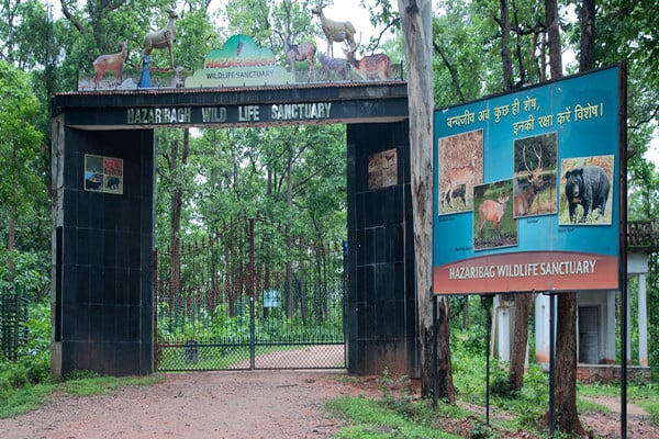 Hazaribagh
